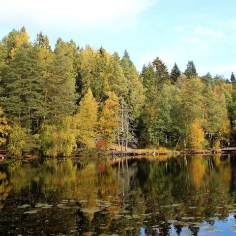 Utsikt över Barnsjön. Bild tagen av Udo Schröter