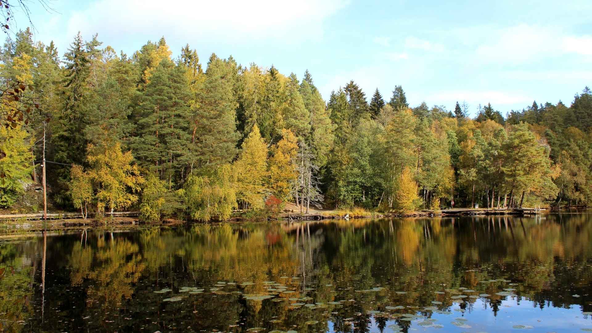 Utsikt över Barnsjön. Bild tagen av Udo Schröter