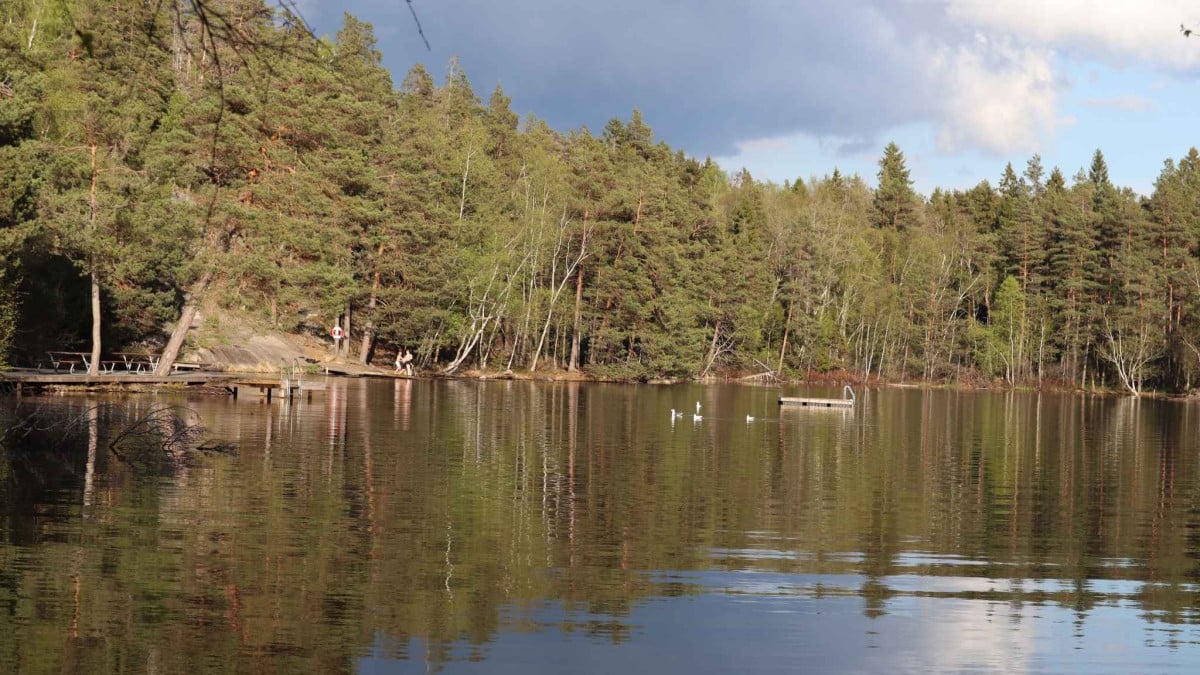 Barnsjön och Barnsjöskogen i Tyresö som Liberalerna vill skydda som naturreservat